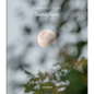 Semaphore - Hardcover