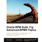 Oracle Bpm Suite 11g: Advanced Bpmn Topics - Paperback