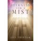 Eternity for a Mist: Adventures with God through Jail ministry - Paperback