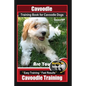 Cavoodle Training Book for Cavoodle Dogs By BoneUP DOG Training, Are You Ready to Bone Up? Easy Training * Fast Results, Cavoodle Training - Paperback