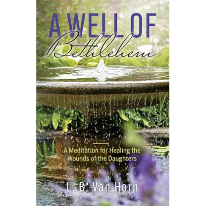 A Well of Bethlehem: A Meditation on Healing the Wounds of the Daughters - Paperback