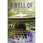 A Well of Bethlehem: A Meditation on Healing the Wounds of the Daughters - Paperback