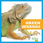 Green Iguanas - Hardcover