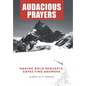 Audacious Prayers: Making Bold Requests. Expecting Answers - Hardcover