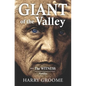 Giant of the Valley - Paperback