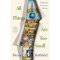 All Things Are Too Small: Essays in Praise of Excess - Paperback