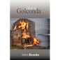 Once in Golconda: The Great Crash of 1929 and its aftershocks - Paperback