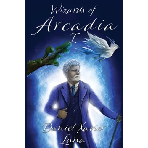 Wizards of Arcadia 1 - Paperback