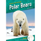 Polar Bears - Library Binding