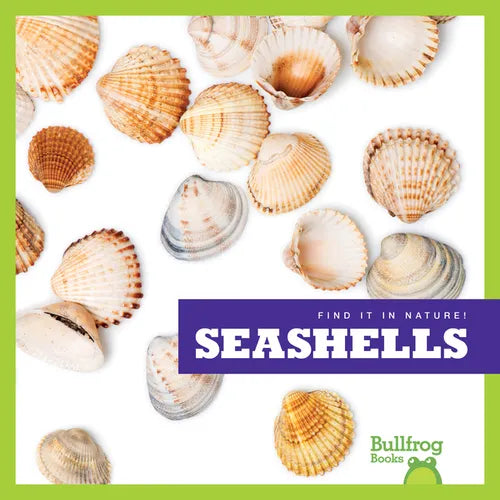 Seashells - Paperback