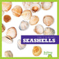 Seashells - Paperback