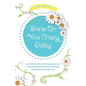 Shine On You Crazy Daisy - Volume 6 - Paperback