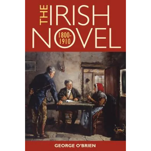 The Irish Novel, 1800-1910 - Hardcover