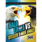 Bald Eagle vs. Steller's Sea Eagle - Library Binding