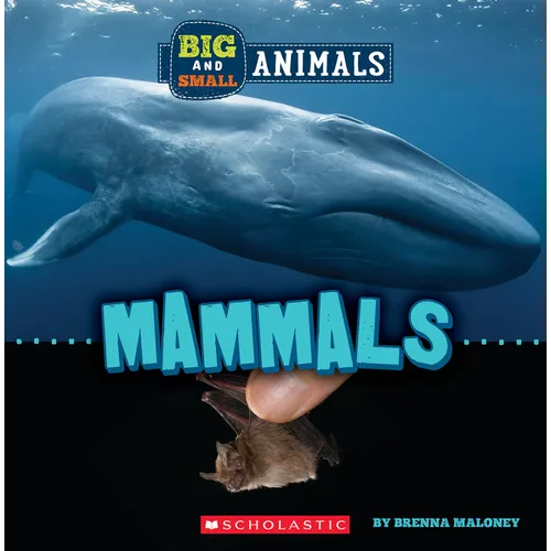 Mammals (Wild World: Big and Small Animals) - Paperback