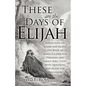 These Are the Days of Elijah - Paperback
