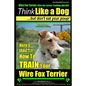 Wire Fox Terrier, Wire Fox Terrier Training, AAA AKC Think Like a Dog But Don't Eat Your Poop! Wire Fox Terrier Breed Expert Training: Here's EXACTLY - Paperback