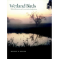 Wetland Birds: Habitat Resources and Conservation Implications - Paperback