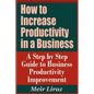 How to Increase Productivity in a Business - A Step by Step Guide to Business Productivity Improvement - Paperback