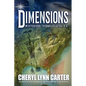 Dimensions: Mysterious Triangles of the U.S. - Paperback