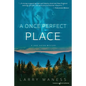 A Once Perfect Place - Paperback