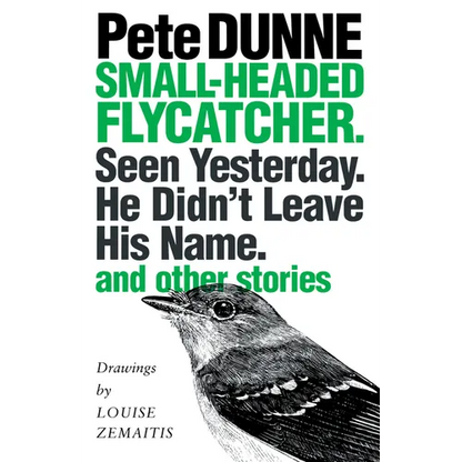 Small-headed Flycatcher. Seen Yesterday. He Didn't Leave His Name.: and other stories - Paperback
