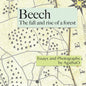Beech: The Fall and Rise of a Forest - Paperback