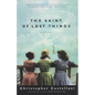 The Saint of Lost Things - Paperback