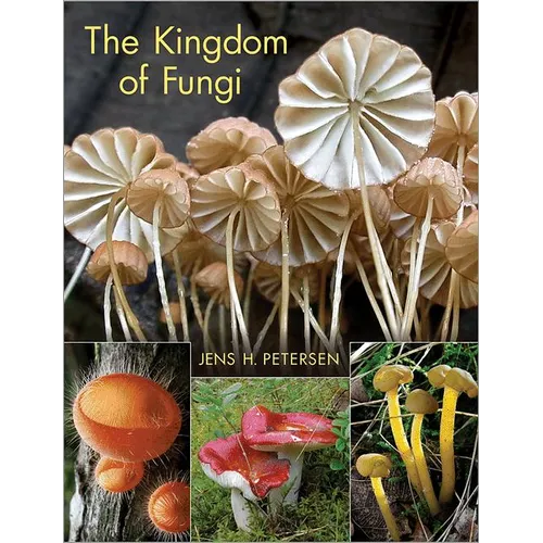 The Kingdom of Fungi - Hardcover