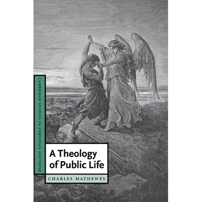 A Theology of Public Life - Paperback