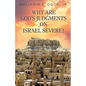 Why Are God's Judgements on Israel Severe? - Paperback