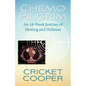 Chemo Pilgrim: An 18-Week Journey of Healing and Holiness - Paperback