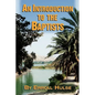 An Introduction to the Baptists - Paperback