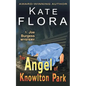 The Angel of Knowlton Park (a Joe Burgess Mystery, Book 2) - Paperback