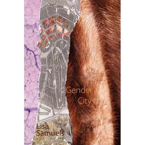 Gender City - Paperback
