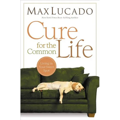 Cure for the Common Life: Living in Your Sweet Spot - Paperback