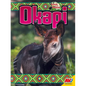 Okapi - Library Binding