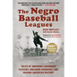 The Negro Baseball Leagues: Tales of Umpiring Legendary Players, Breaking Barriers, and Making American History - Hardcover