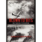 Blown to Bits: 20,000 Feet Over Ploesti - Hardcover