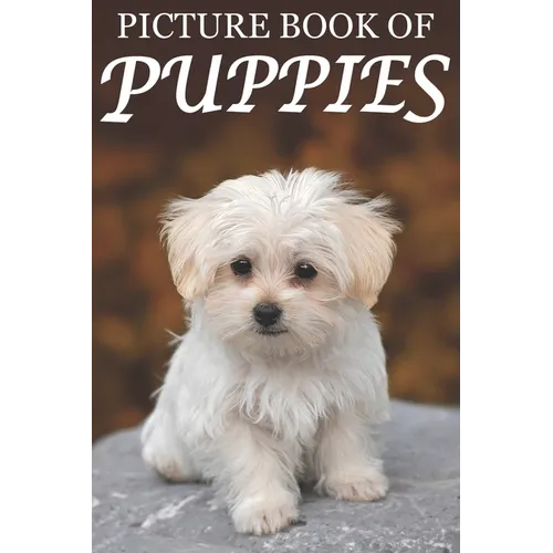 Picture Book of Puppies: Picture Book of Puppies: For Seniors with Dementia [Cute Picture Books] - Paperback