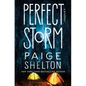 Perfect Storm: A Mystery - Hardcover
