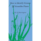 How to Identify Grasses and Grasslike Plants: Sedges and Rushes - Paperback