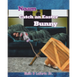 Noam Catch an Easter Bunny - Paperback
