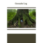 Geocache Log - Paperback