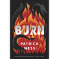 Burn - Hardcover