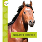 Quarter Horses - Library Binding