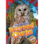 Barred Owls - Library Binding