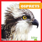 Ospreys - Hardcover
