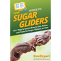 HowExpert Guide to Sugar Gliders: 101+ Tips to Learn How to Get, Raise, and Care for Sugar Gliders as Pets - Paperback