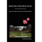Rolling the Dice in DC - Paperback